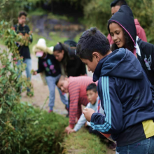 `Children picking up plastic waste from the side of the road to generate income. 